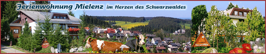 Ferienwohnung Mielenz im Herzen des Schwarzwaldes