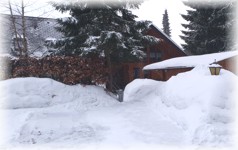 Haus am Wald Gartenhaus